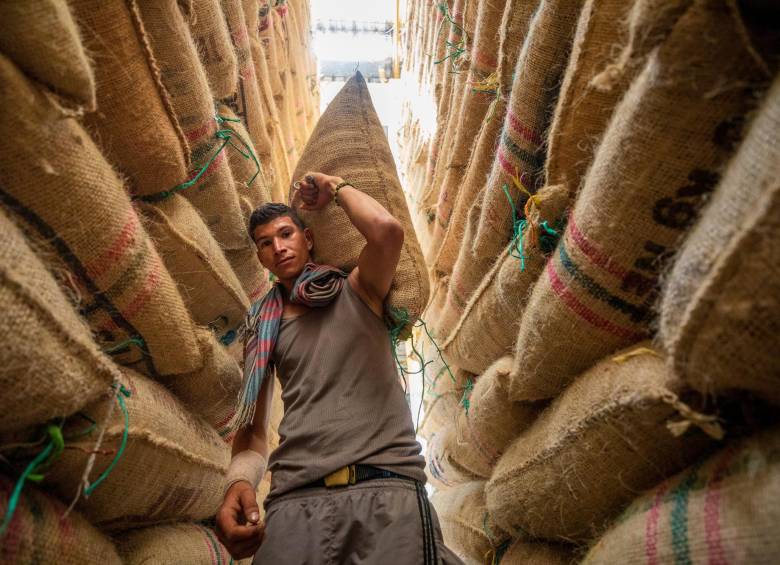 Al cierre del 2021 las exportaciones de café de Colombia cayeron 1% y se ubicaron en 12,4 millones de sacos de 60 kilos de café verde. Foto: Camilo Suárez 