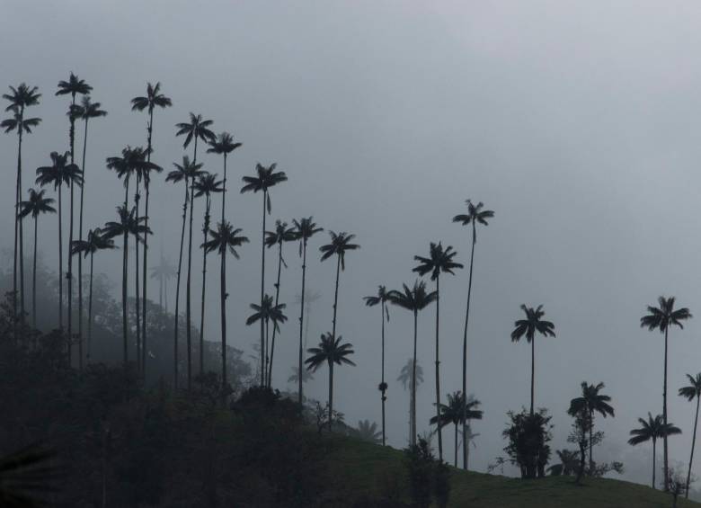 Salento, donde está ubicado el Valle del Cocora, en el Eje Cafetero, es el destino más valorado. FOTO Archivo