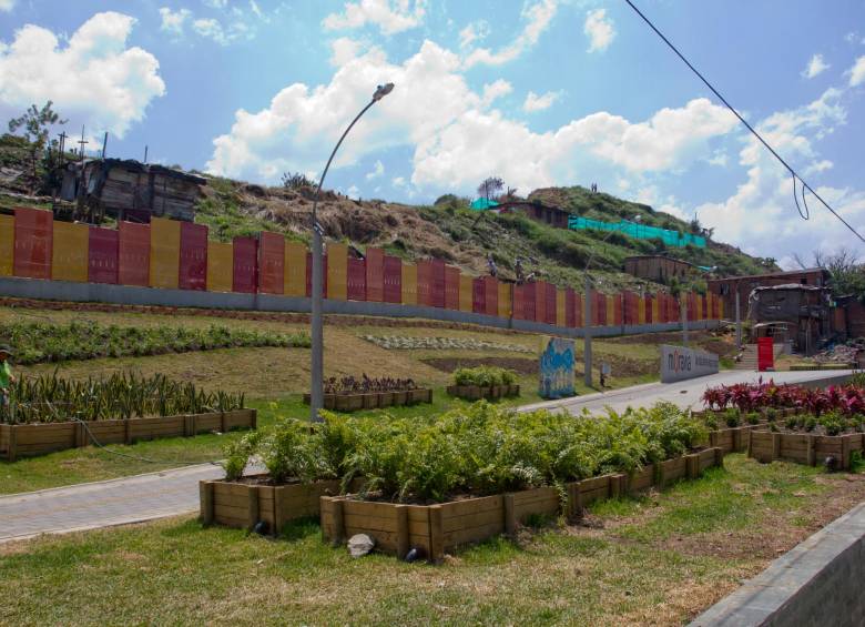 El jardín de Moravia es un proyecto que busca mitigar los impactos ambientales y el riesgo de los residuos que quedaron sepultados en el morro - FOTO: ARCHIVO