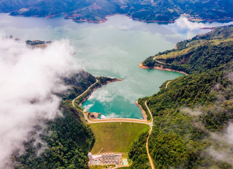 La protección de la biodiversidad en el embalse Calima es una de las estrategias de mitigación de la huella de carbono de Celsia. Foto Cortesía Celsia