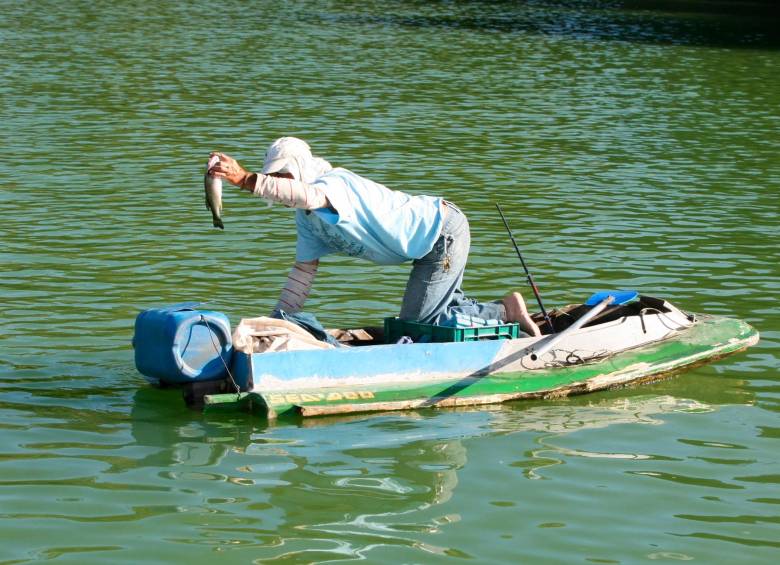 Esa decisión se une a la adoptada en febrero de 2019 cuando la Corte Constitucional prohibió la caza deportiva en el país. FOTO JUAN ANTONIO SÁNCHEZ