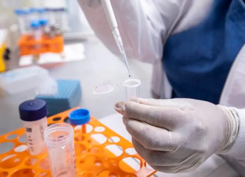 El tratamiento con células madres en Medellín es uno de los mejor calificados a nivel mundial, de ahí que muchos pacientes lleguen desde diversos países para ser tratados en la ciudad. FOTO EL COLOMBIANO 