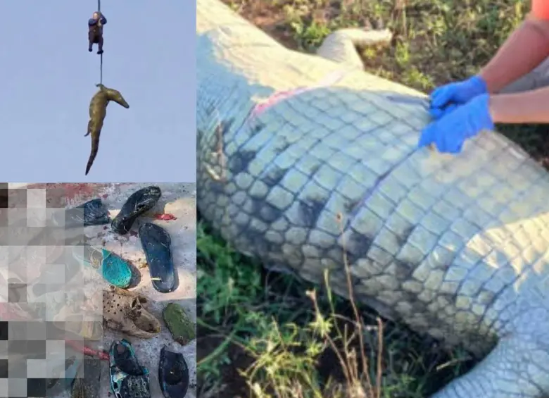 Tras la necropsia, las autoridades avanzan en el análisis de ADN para identificar a las víctimas. Foto: tomada de X