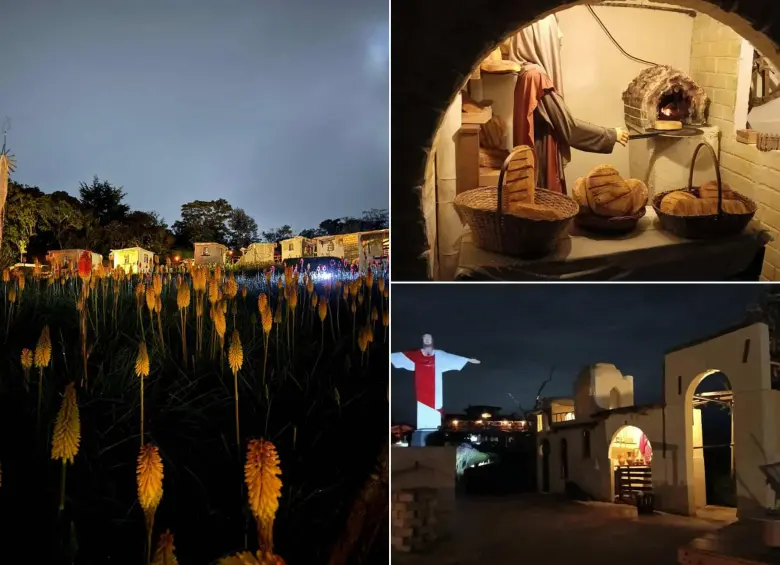 De noche el espacio se ilumina de una manera especial para el disfrute de los visitantes. FOTOS: Cortesía Jardín Silletero
