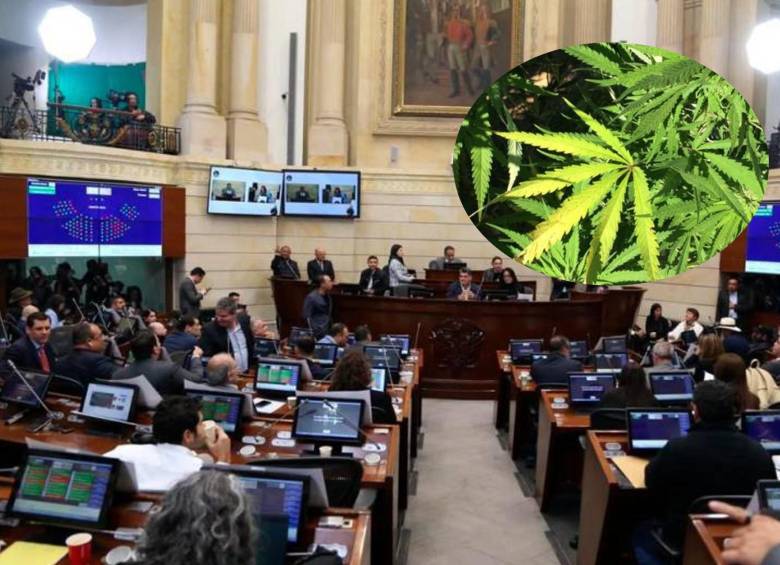 La plenaria del Senado hundió en la noche de este martes la posibilidad de regular el uso de cannabis adulto. Foto Cortesía