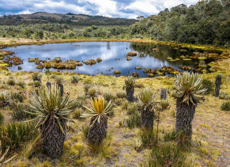La Laguna fue uno de los 6 sitios en los que Belmira tomó medidas para controlar el turismo y revertir impactos de esta actividad, acciones que van de la mano con la propagación en otras zonas. FOTO Juan Antonio Sánchez