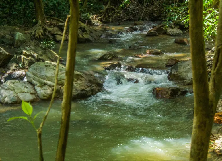 Rocas, primeras vistas de la fuente de la cascada. Foto: Cristina Rodriguez. 