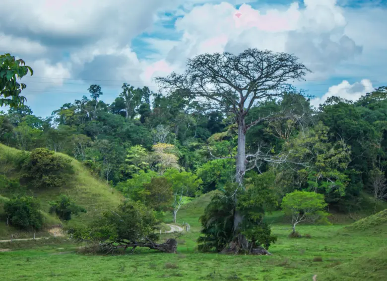 Paisaje. Foto: Cristina Rodríguez. 