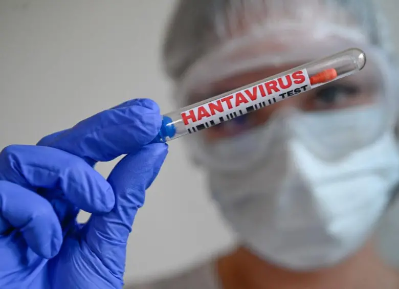 En diferentes países de Europa están realizando vigilancia epidemiológica por el posible brote del hantavirus en un vuelo de KLM. FOTO: Joao Luiz Bulcao / Hans Lucas via AFP.