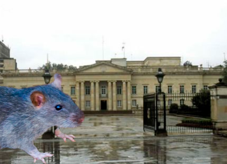 El gobierno pagará $68.187.892,50 a quien asuma la tarea de exterminador. FOTOS COLPRENSA Y JULIO CÉSAR HERRERA