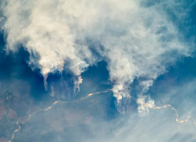 El bosque tropical es uno de los ecosistemas más diversos y estratégicos para el equilibrio ambiental. FOTO Nasa Earth