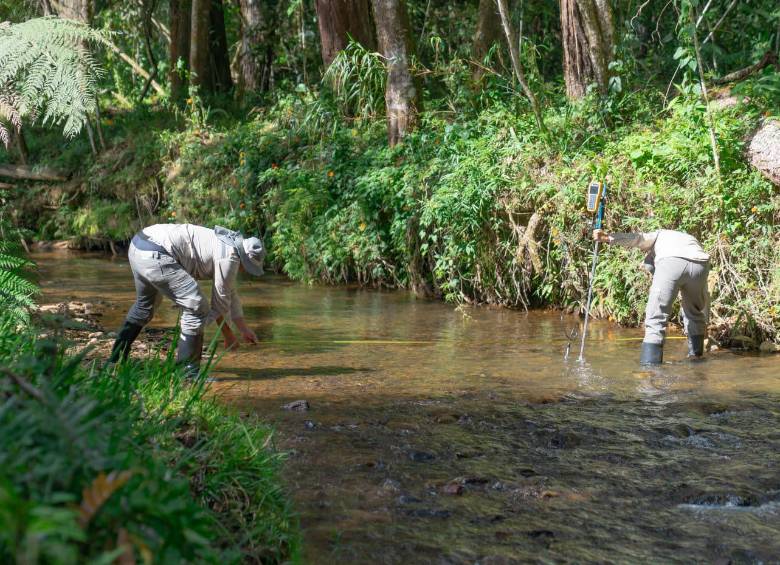 El sistema de acueducto Piedras Blancas es uno de los más afectados por el fenómeno de El Niño,. Abastece gran parte del nororiente y centro oriente de Medellín. Foto: Cortesía
