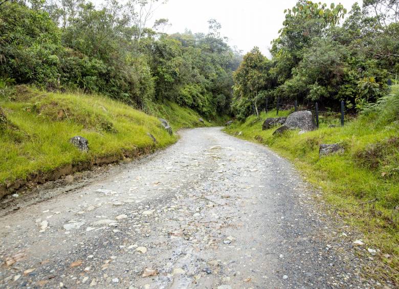 Con este programa se busca repotenciar la infraestructura vial departamental y local que requiere de mantenimiento, obras de drenaje y otras actividades. Foto: Jaime Pérez