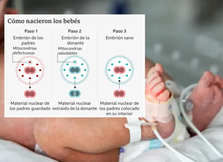 Con este proceso científico pudieron nacer los bebes en Reino Unido. FOTO: Colprensa y cortesía HFEA/BBC