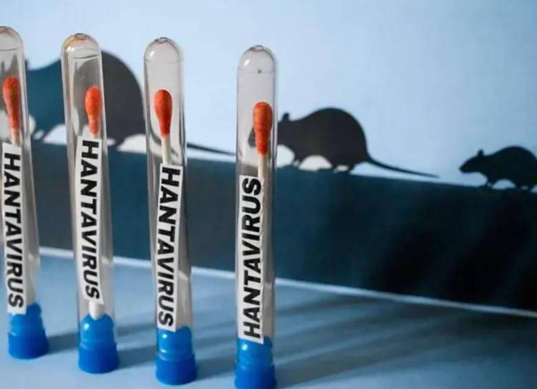España se une a Reino Unido, Francia, Suiza, Sudáfrica y Estados Unidos como las naciones con casos positivos de hantavirus. Fotos: AFP
