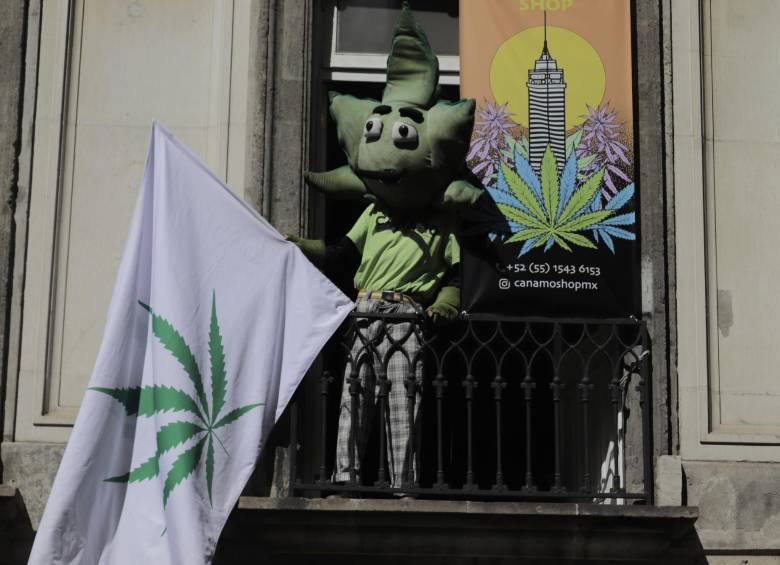 La iniciativa permite fumar marihuana en casa sin presencia de menores de edad, poseer hasta ocho plantas por domicilio y otorgar licencias para la constitución de asociaciones de cannabis que, sin fines de lucro, cultiven plantas para su consumo lúdico. FOTO GETTY