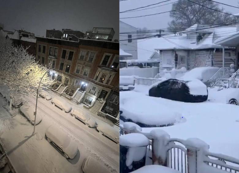 Fuertes nevadas cubren calles y parques de Nueva York tras el paso del ciclón bomba que dejó acumulaciones históricas en el noreste de EE. UU. FOTO: redes sociales.