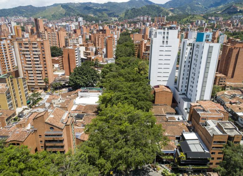 Panorámica de la avenida jardín entre el primer y el segundo parque del barrio Laureles en el occidente de Medellín, por donde transcurren corredores verdes. Foto: EL COLOMBIANO