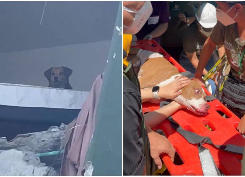 Tras el terremoto de magnitud 7.4 que afectó al centro y occidente del país, Kiara quedó acorralada en el quinto piso de un edificio a punto de colapsar en Dosquebradas, Risaralda. Mientras que Renata sobrevivió a la caída de su hogar en Cali. FOTO: Captura de video de redes sociales @MelyMunera y @JohaFuentes