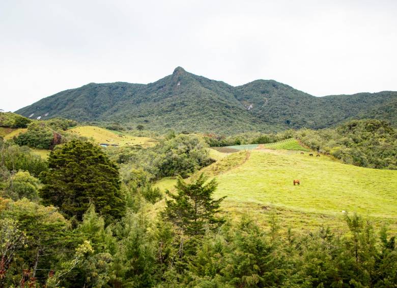 Se acaba el turismo en el famoso Cerro Las Palomas para evitar amenazas contra el Páramo de Sonsón