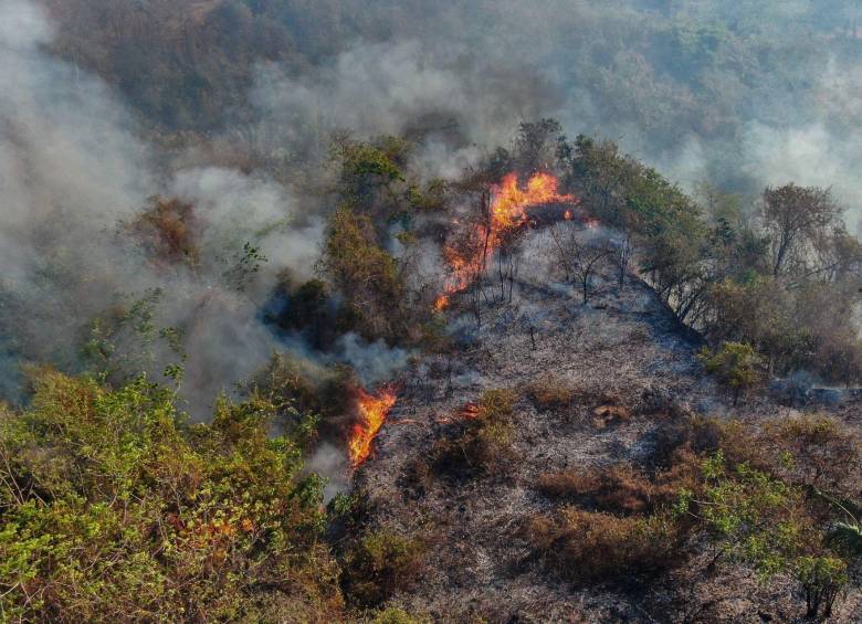  La UNGRD reportó esta semana que van más de 119.000 hectáreas en el país consumidas por las llamas. FOTO: Cortolima.