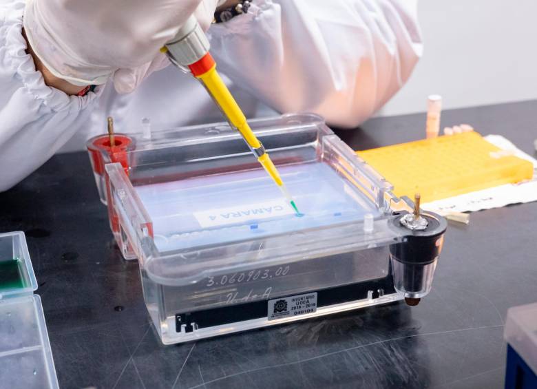 La investigación fue posible gracias a una gran alianza de investigadores de universidades paisas y laboratorios privados. FOTO: CORTESÍA