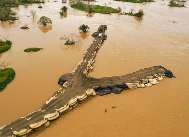 El río Cauca, en el sector de La Mojana, que comprende los departamentos de Antioquia, Bolívar, Córdoba y Sucre. Aspecto del dique mutilado de Caregato en septiembre de 2022. FOTO: MANUEL SALDARRIAGA QUINTERO