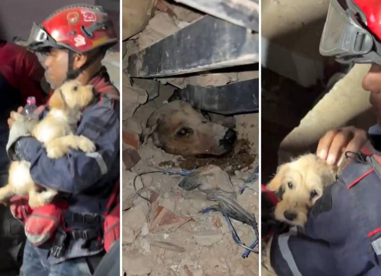 Los videos de los rescates fueron compartidos en redes sociales. FOTO: CAPTURA DE PANTALLA.