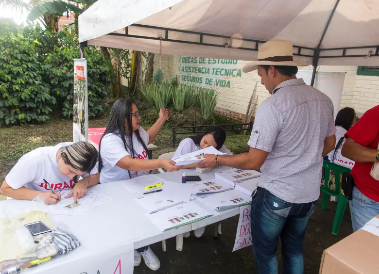  Más de 560.000 familias cafeteras podrán elegir a sus representantes mediante voto electrónico o presencial durante las elecciones gremiales de 2026. FOTO 