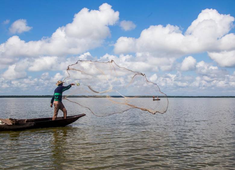 El país tiene 270.000 pescadores artesanales. Se desconoce el número exacto de los que se afectarán por el Decreto 281. FOTO Esteban Vanegas