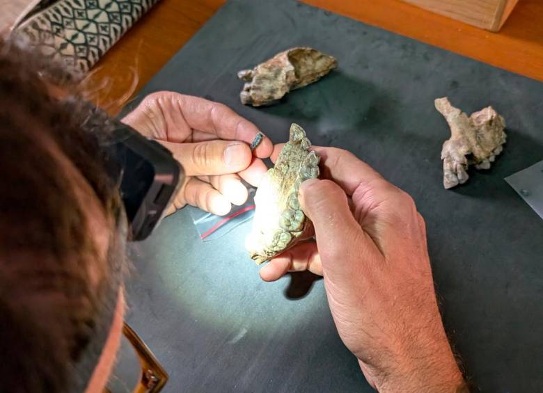 Algunos de los hallazgos examinados por un profesor. FOTO: Cortesía ASU