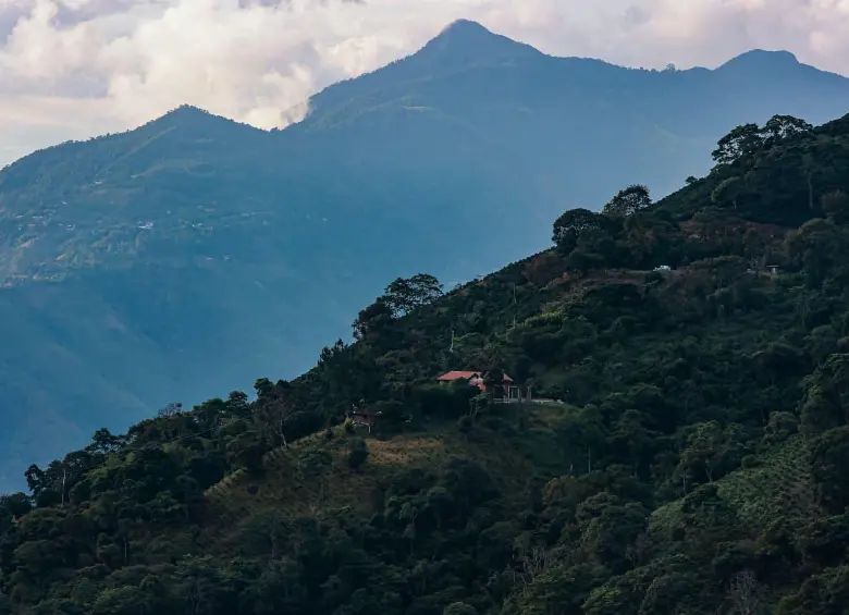 Hay tres municipios antioqueños entre los 10 mejor administrados de Colombia, según ranking. FOTO: MANUEL SALDARRIAGA QUINTERO 
