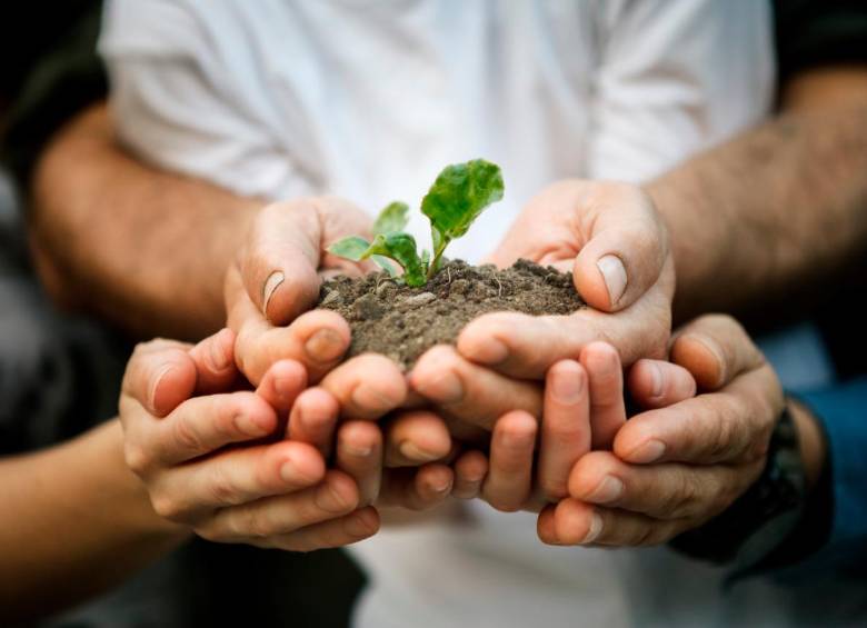 Tres planetas necesitaríamos en 2050 (con sus recursos naturales) para continuar con el estilo de vida actual, según la ONU. FOTO: SSTOCK.
