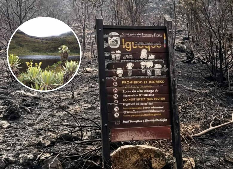 El santuario ya presenta daños significativos. Foto: Captura de video/Parques Nacionales.