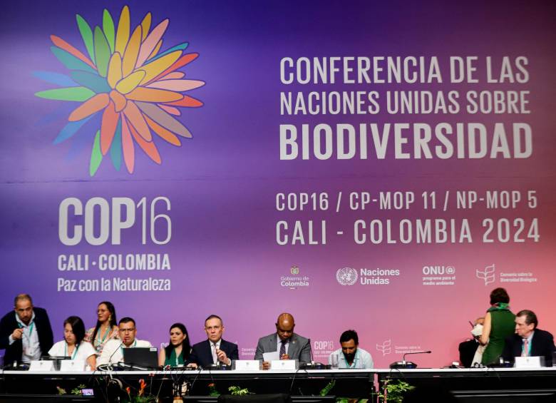 Uno de los puntos claves de la COP16 es unificar las agendas del clima y de la biodiversidad, ya que para Colombia es clave que los objetivos de ambas convenciones tengan convergencia en su esfuerzo por hacer frente a la triple crisis planetaria: cambio climático, contaminación y pérdida de biodiversidad. FOTO: Colprensa