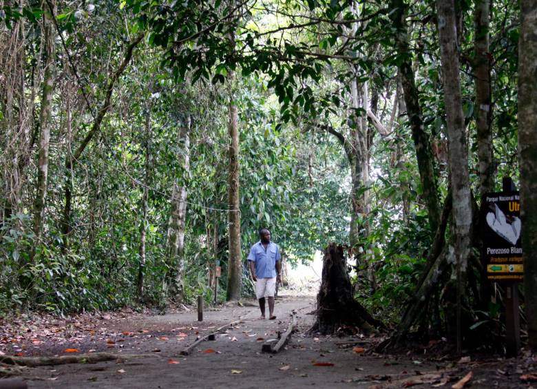 El Parque Nacional Natural Utría está ubicado en el Chocó y hace parte de las 64 áreas protegidas para la conservación de la biodiversidad. Protagonistas de la toma esperan acciones de la Ungrd. FOTO El Colombiano