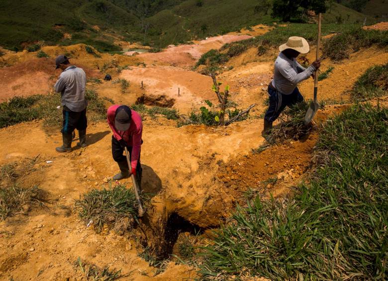 La explotación ilícita en el sector minero genera graves consecuencias socioeconómicas y ambientales. FOTO archivo