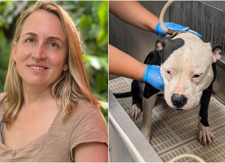 Annie Harvilicz, la médica veterinaria que ha salvado más de 40 animales de los incendios en Los Ángeles, junto a un equipo de voluntarios. FOTO: REDES SOCIALES 