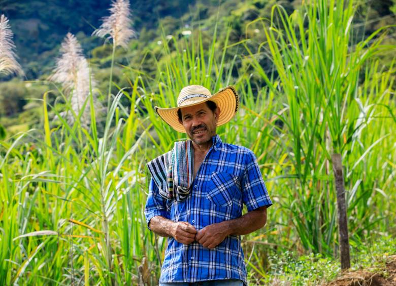 Guillermo Pérez, presidente de Agronudillos en la vereda Nudillos de Anzá, una empresa comunitaria que hoy opera un trapiche para el consumo de sus asociados. FOTO Camilo Suárez