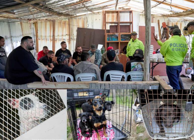 Entre los capturados está el organizador del evento y un veterinario. Foto: Fiscalía