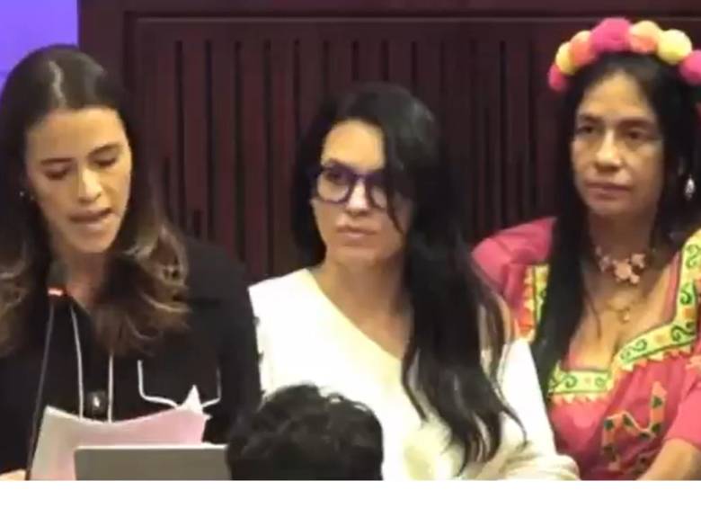 El pronunciamiento lo hicieron las pertenecientes a la Cámara de Representantes. FOTO: CAPTURA DE PANTALLA.