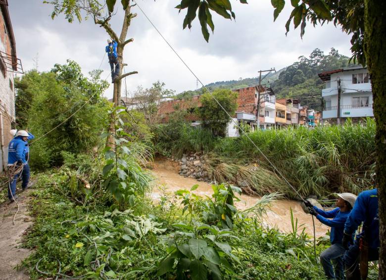 Equipos de poda cortan árboles que están a punto de caer al cauce de la quebrada Doña María del barrio San Javier en Itagüí Foto: Edwin Bustamante