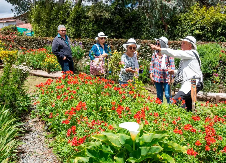 Así impulsa la Feria de las Flores el turismo rural en Santa Elena, Guatapé y Jardín