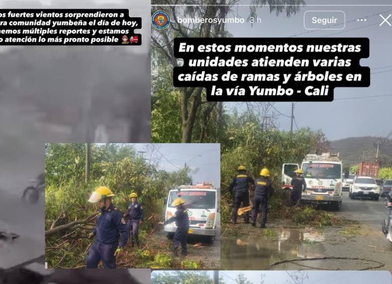 Organismos de emergencia despejan la carretera antigua Cali-Yumbo tras la caída de árboles provocada por las fuertes precipitaciones y tormentas eléctricas. Foto: redes sociales