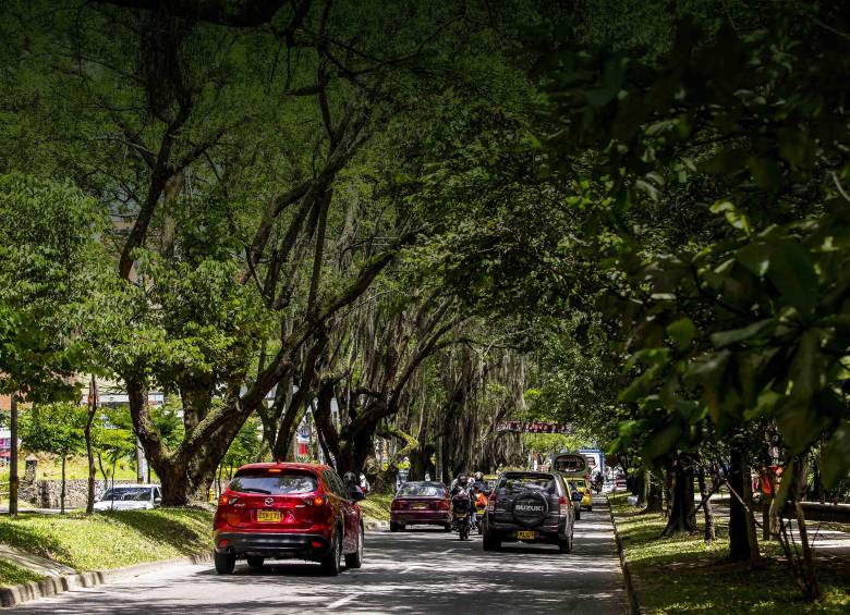 Medellín transforma sus espacios verdes para ser un referente internacional en la mitigación de los efectos del cambio climático. FOTO EL COLOMBIANO