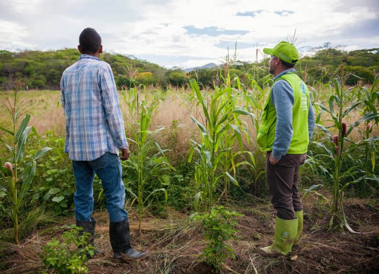 Banco Agrario: cuatro años de grandes transformaciones llegando a quienes más lo necesitan