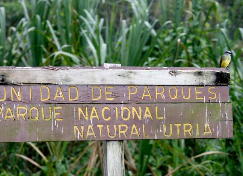 El Parque Nacional Natural Utría está ubicado en el departamento del Chocó. FOTO: EL COLOMBIANO