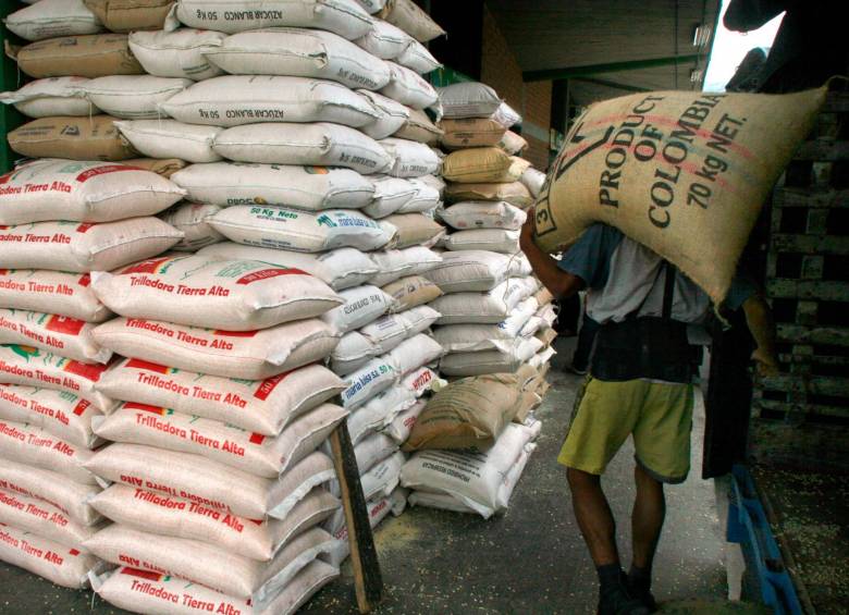 La desgravación arancelaria por la apertura del comercio de arroz con Estados Unidos ya no será efectiva a partir del 1 de enero de 2030. FOTO Julio César Herrera