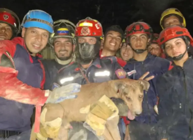 Equipo de rescate se toma una foto con el perrito rescatado. 