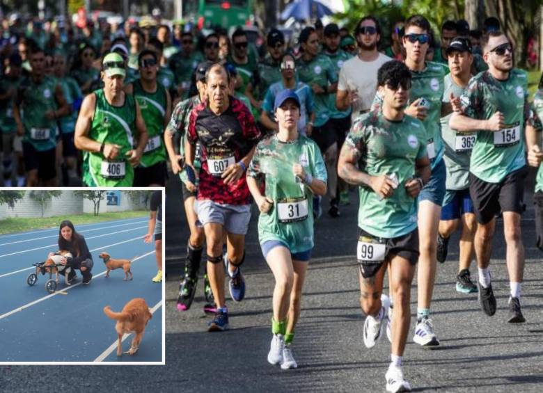Adelante, algunos de los animales que se han beneficiado de la iniciativa. Atrás, participantes de una carrera atlética de la ciudad. Foto: Julio César Herrera Echeverri.